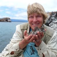 Dee with Penguin chicks