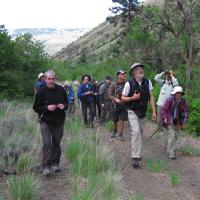 Birders at Seattle Audubon Wenas Campout Memorial Day weekend